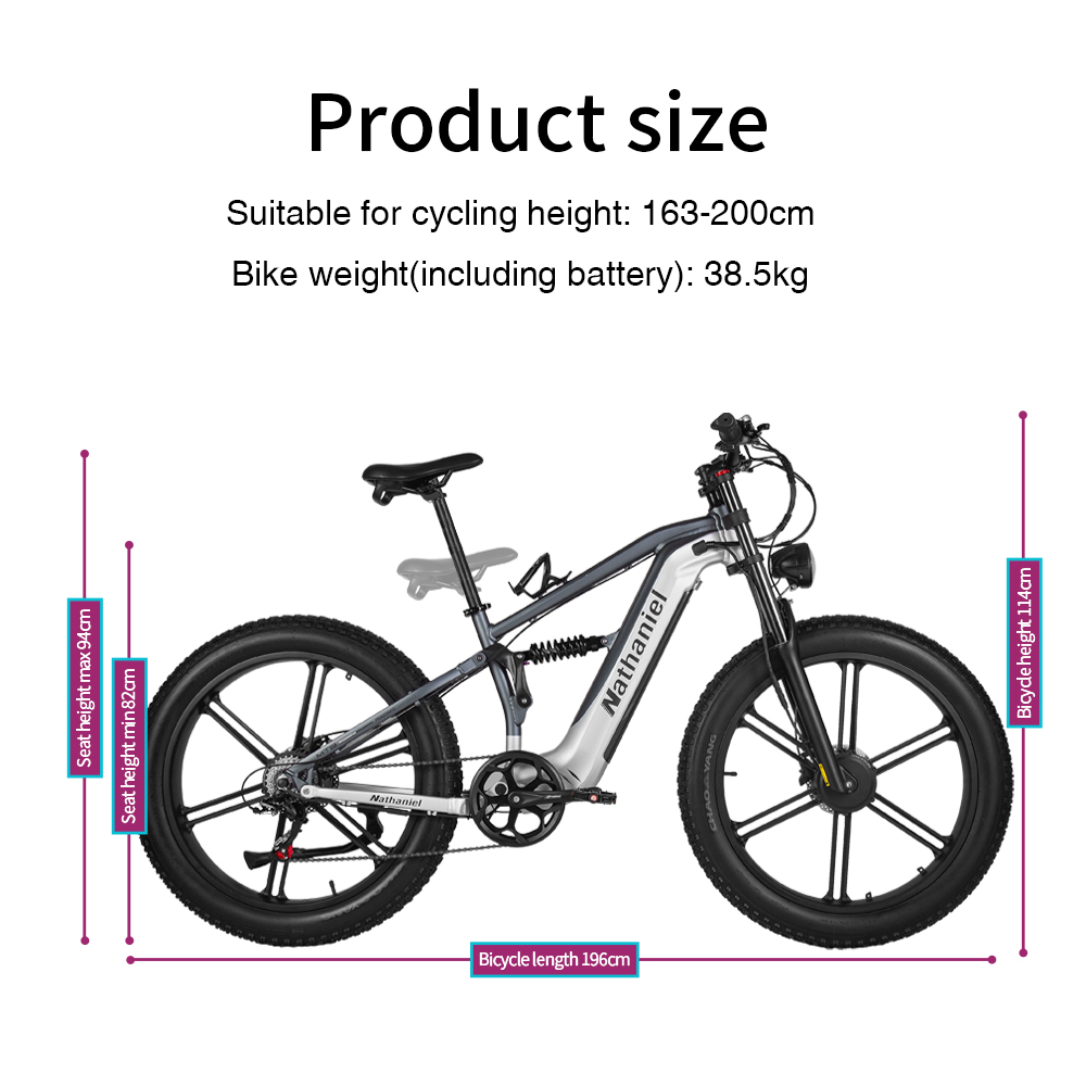 Nathaniel SYR09 Electric Bike  - Dual Motor Ebike Kit 2000W recension och pris