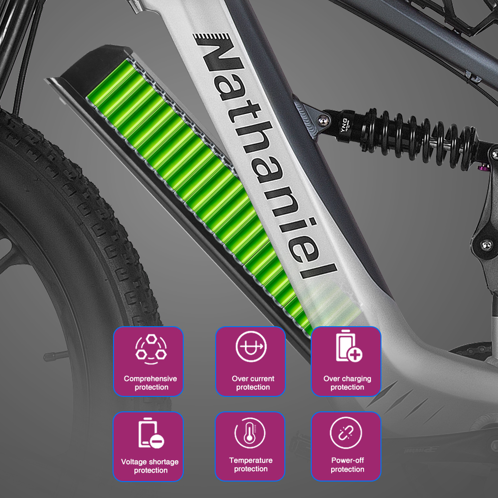 Nathaniel SYR09 Electric Bike  - Dual Motor Ebike Kit 2000W recension och pris