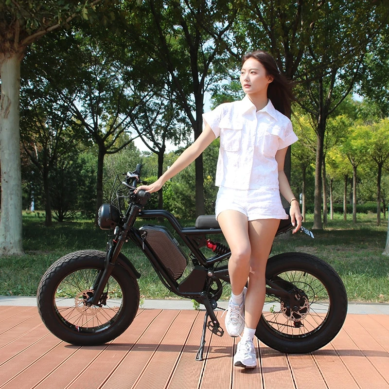 SXLL SXLL13Ah lithium battery  - 48V 1500W Rear Hub Motor With Battery recension och pris